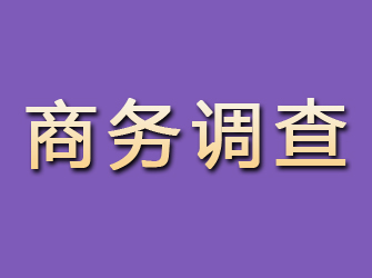 杜尔伯特商务调查